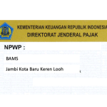 Cara Validasi NIK Menjadi NPWP
