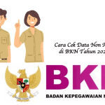 Cara Cek Data Non ASN di BKN