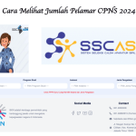 Cara Melihat Jumlah Pelamar CPNS 2024