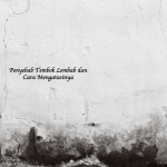 Penyebab Tembok Lembab