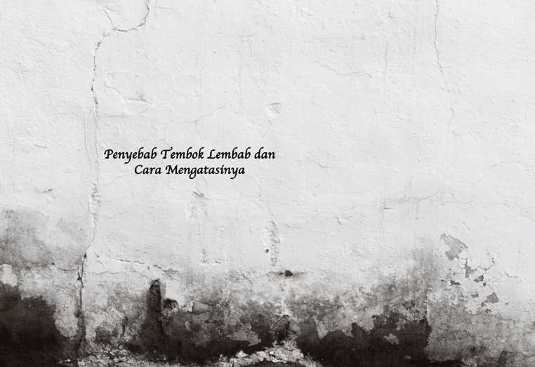 Penyebab Tembok Lembab