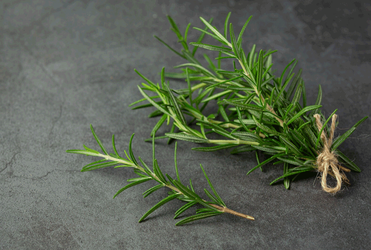 Cara Stek Rosemary